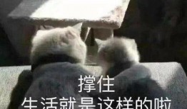 最新房间爆料文案搞笑,笑料百出，爆笑连连，你绝对猜不到的搞笑真相！