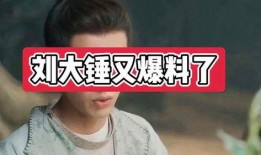 柳大锤最新爆料,揭秘娱乐圈惊天秘密！