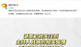 娱乐圈吃瓜电子版,吃瓜电子版带你领略幕后风云