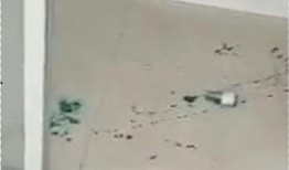 唐山丰润爆料事件最新消息,最新进展揭秘