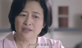 还是夫妻电视剧全集在线观看,情感纠葛，婚姻抉择，揭秘现代婚姻真相