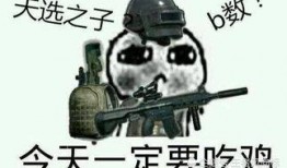 中国吃鸡十大爆料视频,游戏内幕大公开