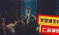 顶爆电影视频在线观看,在线观看，畅享视听盛宴
