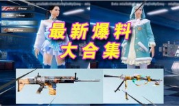 吃鸡爆料服装大全最新,最新服装大全大揭秘，潮流装备一网打尽！