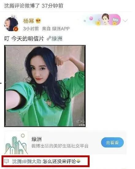 娱乐圈最新的吃瓜网站